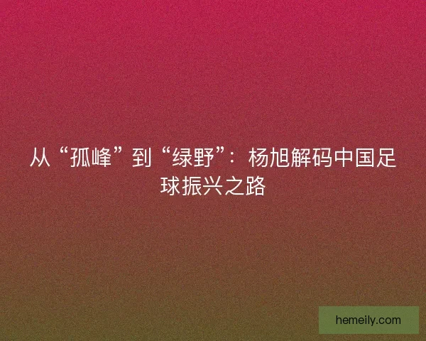 从 “孤峰” 到 “绿野”：杨旭解码中国足球振兴之路